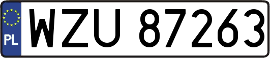 WZU87263
