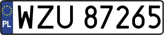 WZU87265