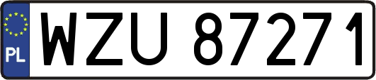 WZU87271