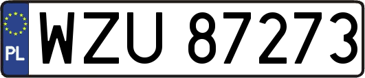 WZU87273
