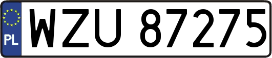 WZU87275
