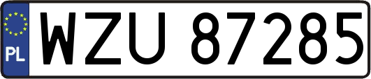 WZU87285