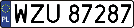 WZU87287