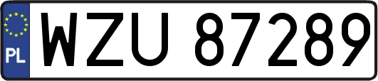 WZU87289
