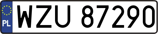 WZU87290