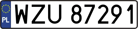 WZU87291