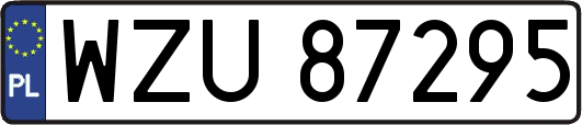 WZU87295