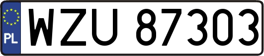 WZU87303