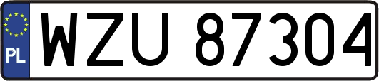 WZU87304
