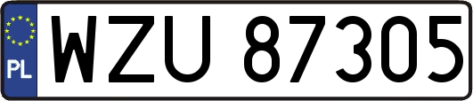 WZU87305
