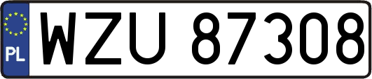 WZU87308