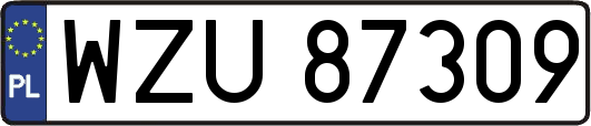 WZU87309