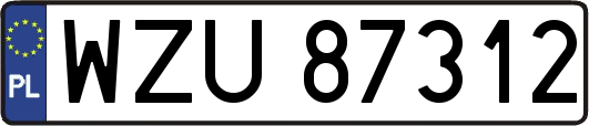 WZU87312