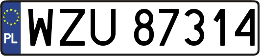 WZU87314