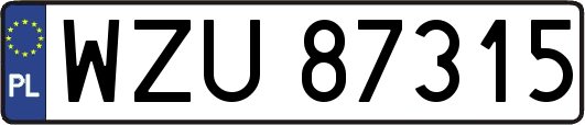 WZU87315