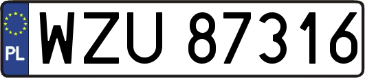 WZU87316