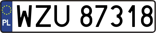 WZU87318