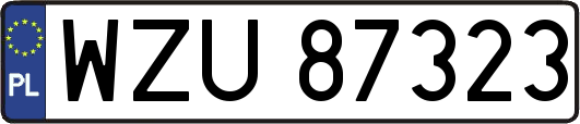 WZU87323