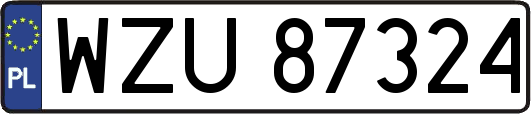 WZU87324