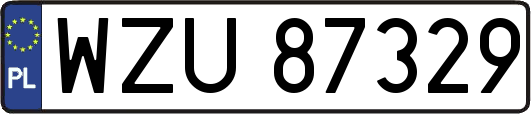 WZU87329