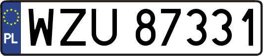 WZU87331
