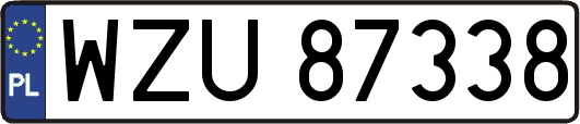 WZU87338