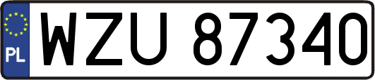 WZU87340
