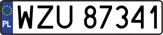 WZU87341