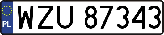 WZU87343