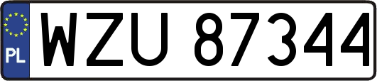 WZU87344