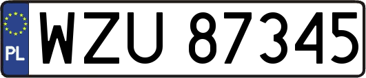 WZU87345