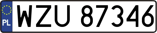 WZU87346