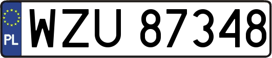 WZU87348