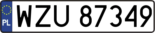 WZU87349