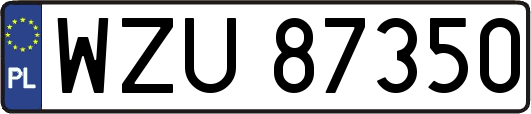 WZU87350
