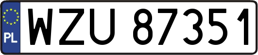 WZU87351