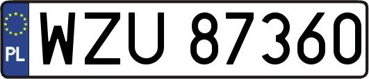 WZU87360