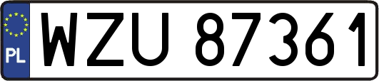WZU87361