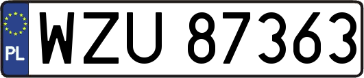 WZU87363