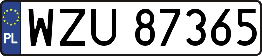 WZU87365