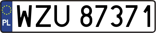 WZU87371