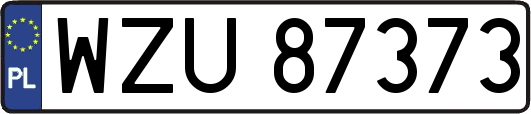 WZU87373