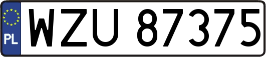 WZU87375