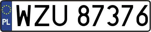 WZU87376