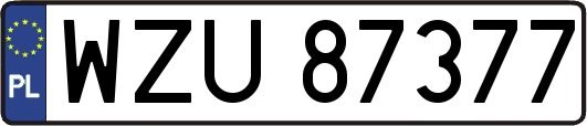 WZU87377