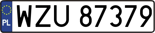 WZU87379