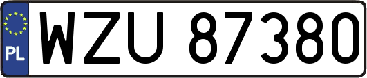 WZU87380