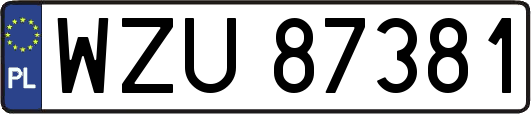 WZU87381