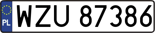 WZU87386