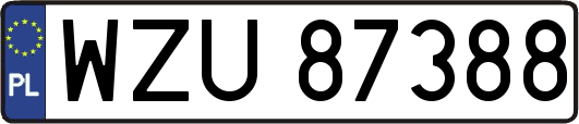 WZU87388
